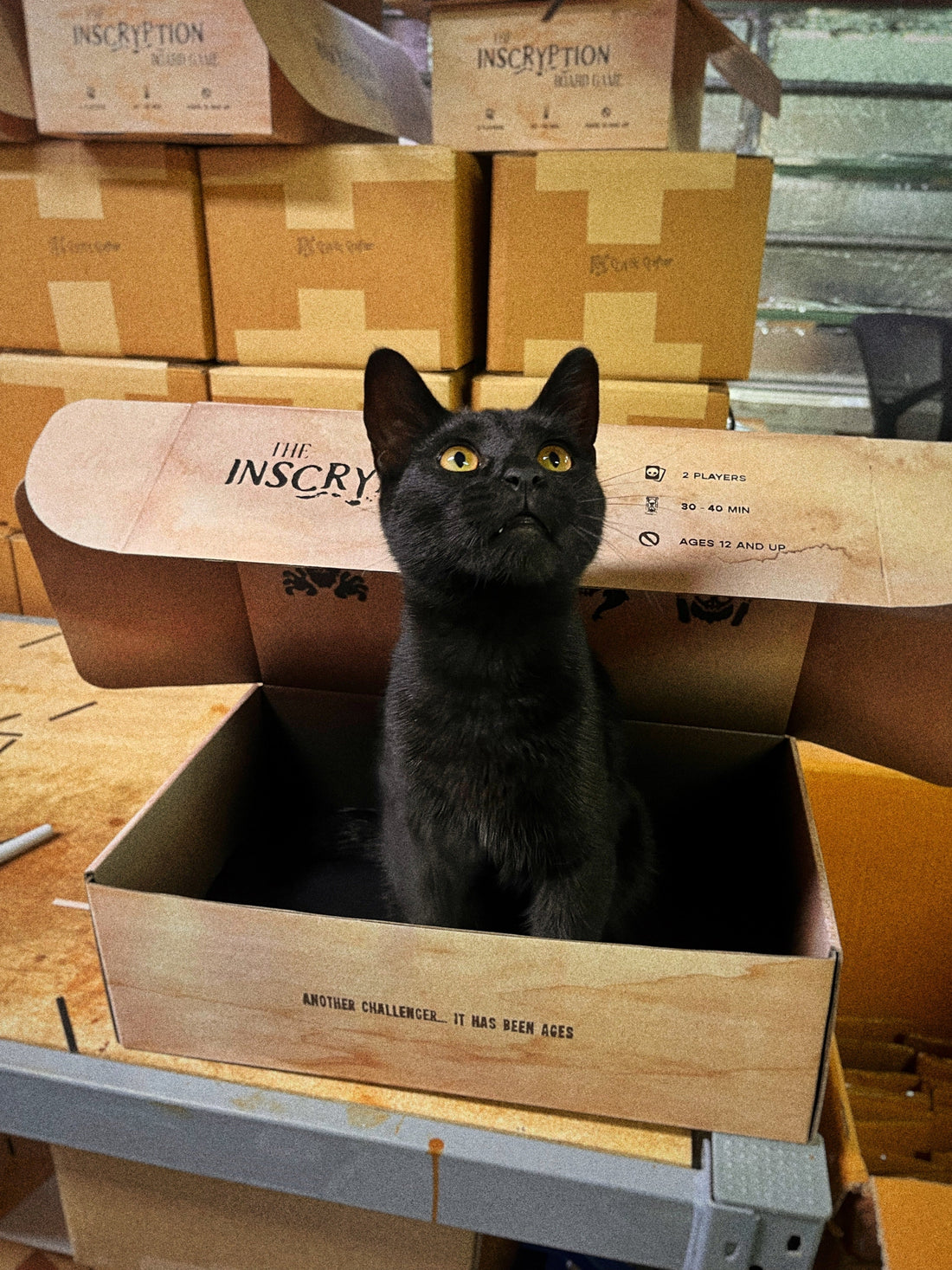 Batch 3 - Production Update #4 - Shipping!