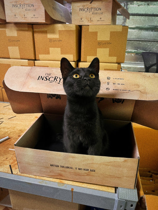 Batch 3 - Production Update #4 - Shipping!